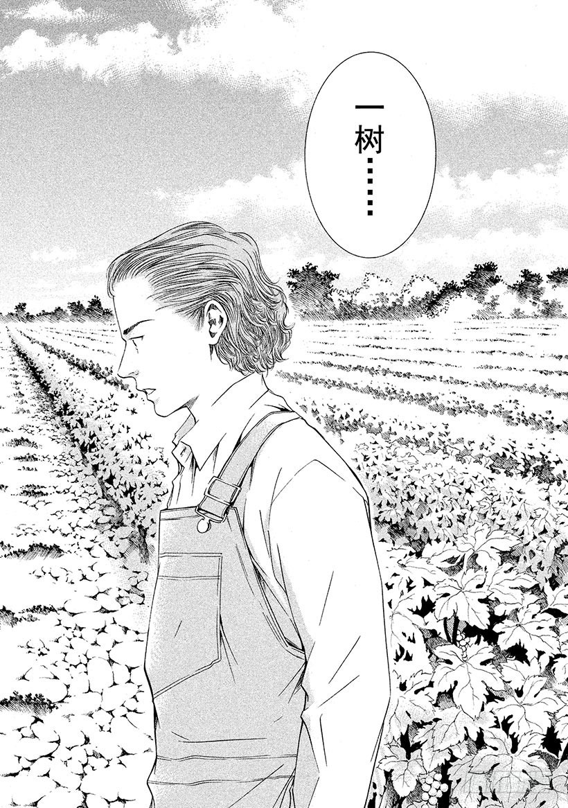 🍱神之雫（神之水滴） #105 被满满的爱意所包围 第14页