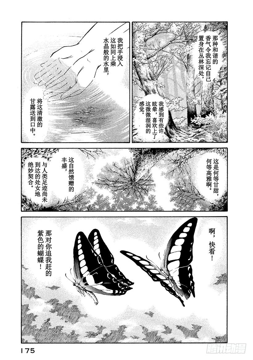 🍱神之雫（神之水滴） #37 静谧神秘丛林深处 第11页