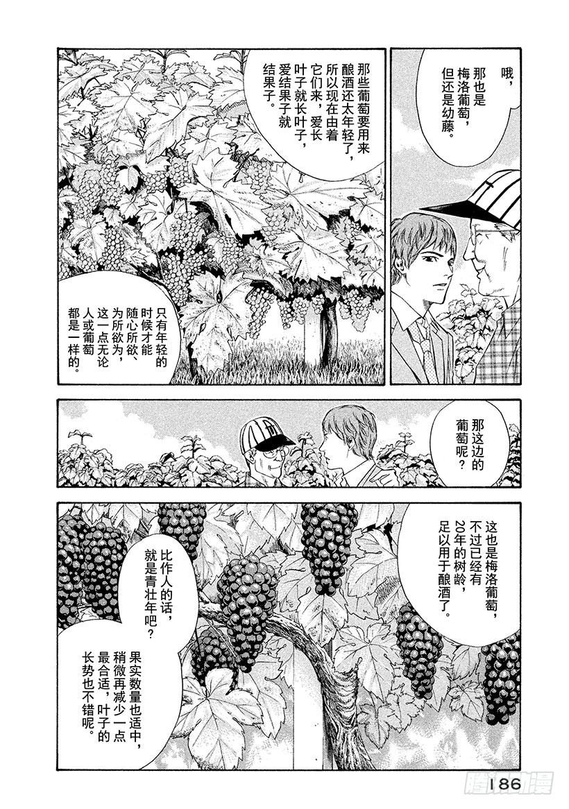 🍱神之雫（神之水滴） #97 老人培育出令人怀念的未来 第16页
