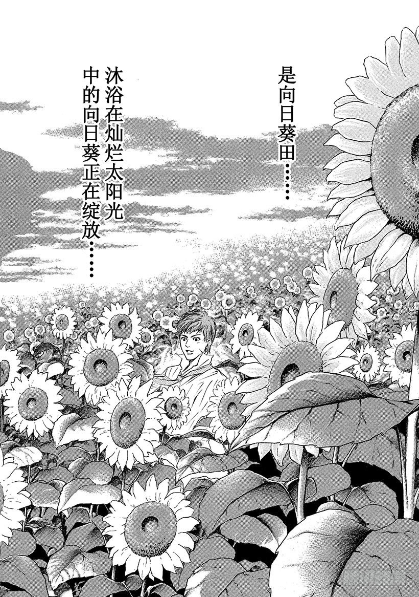 #35 沉静在夕阳下的向日葵田野-第35话