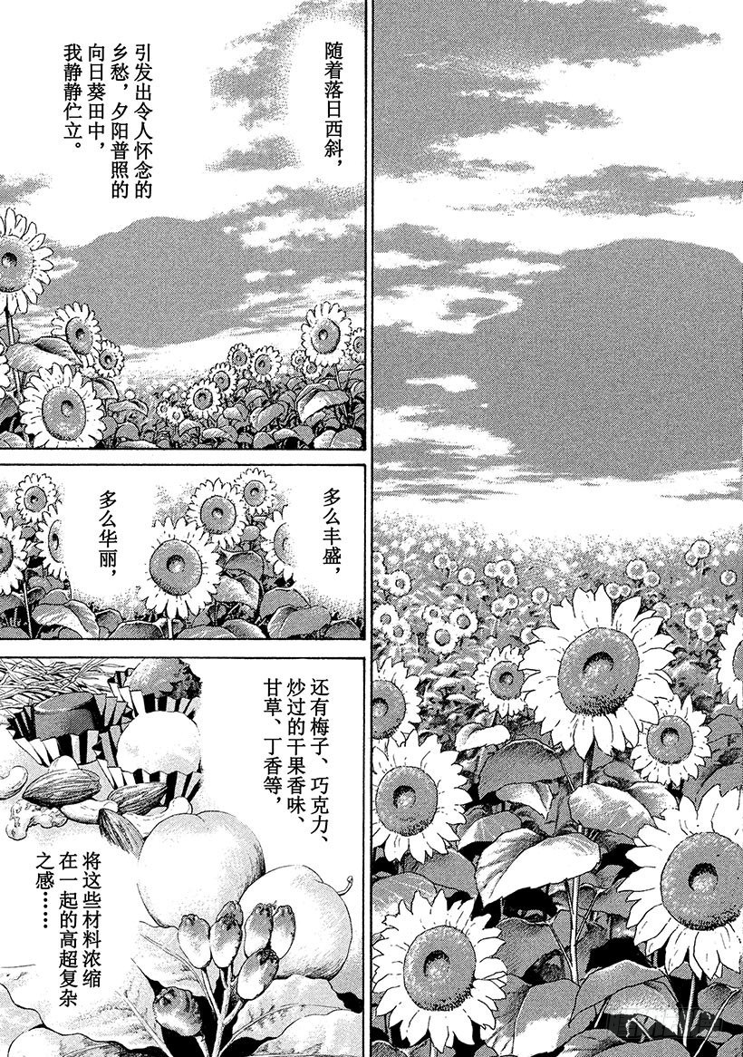 #35 沉静在夕阳下的向日葵田野-第35话
