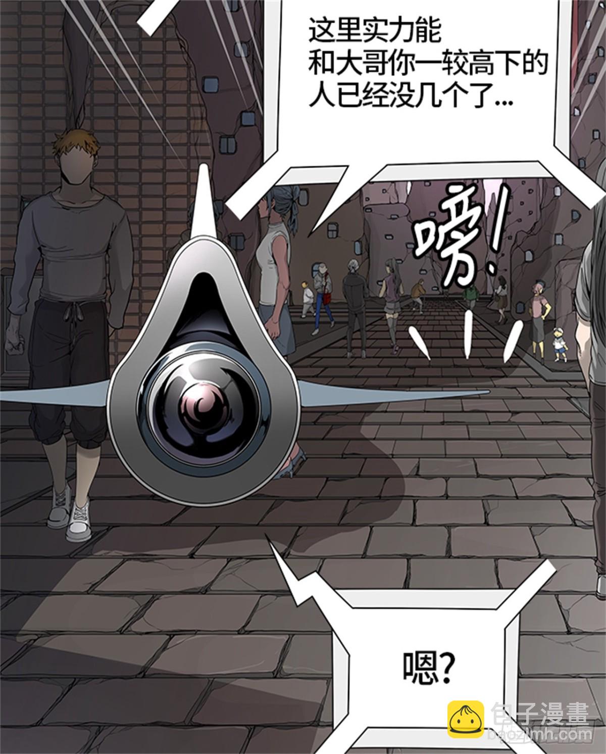 454.勿忘我沉睡的城墙(1/3)-第455话