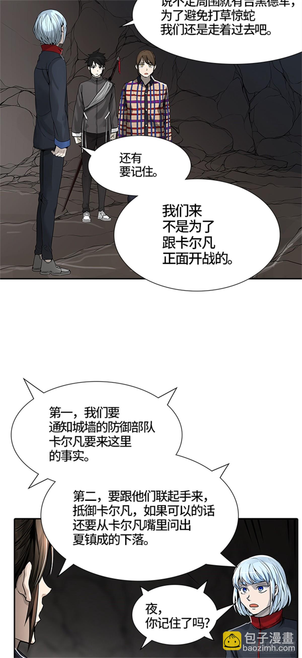454.勿忘我沉睡的城墙(1/3)-第455话