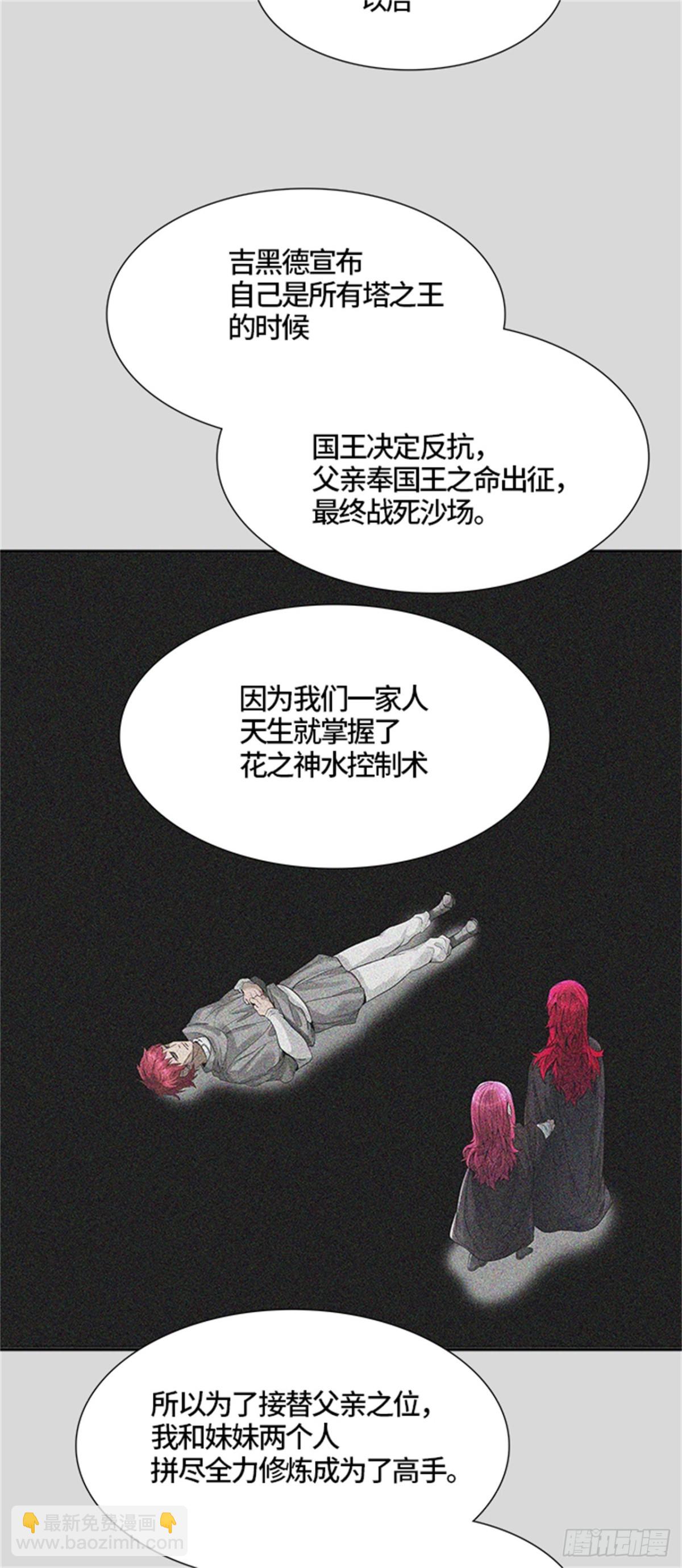 456.勿忘我沉睡的城墙（3）(1/3)-第457话