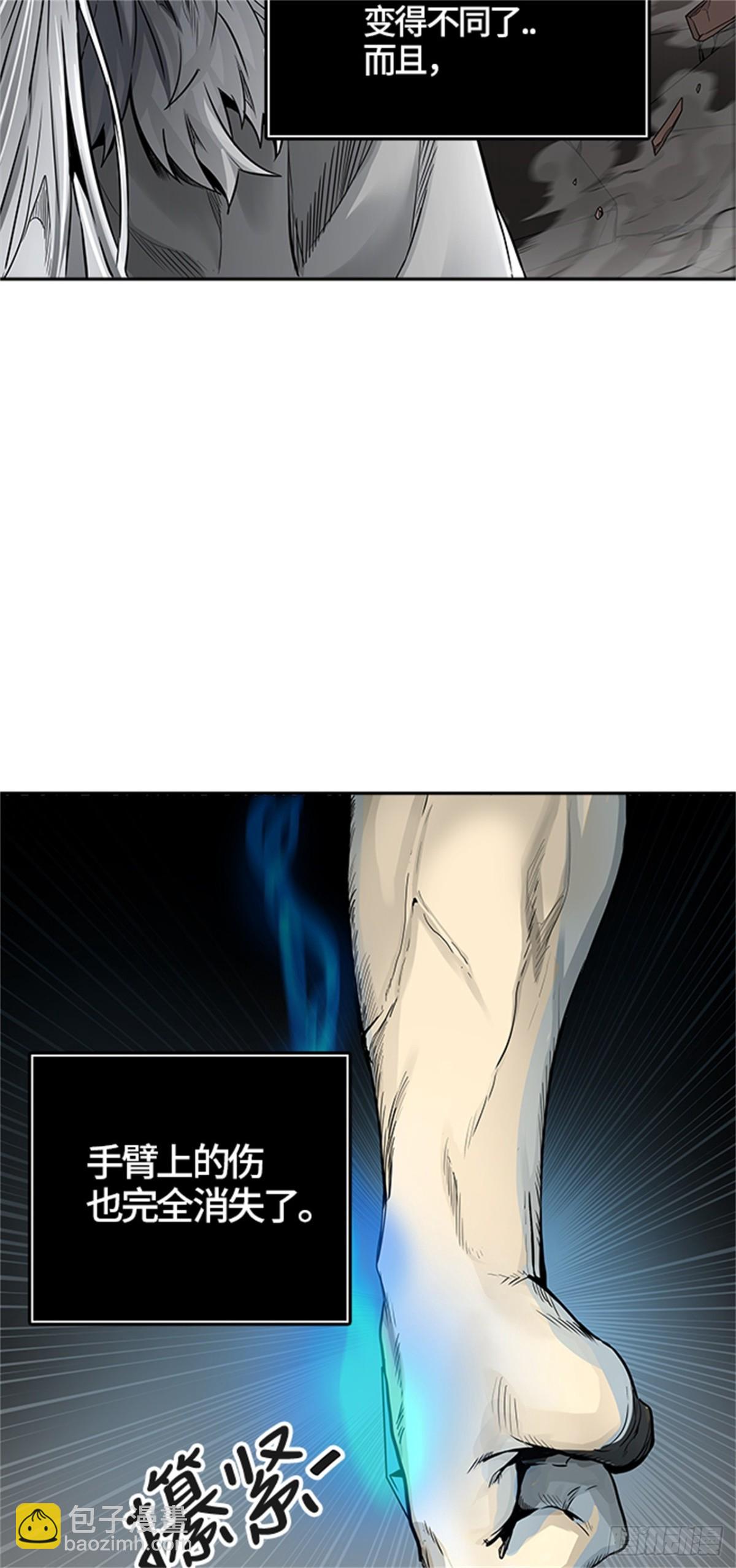 460.卡尔凡VS白神（2）(1/2)-第461话