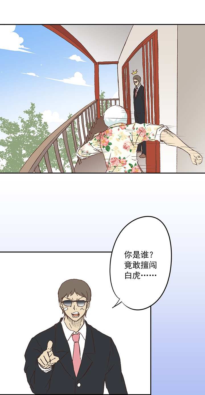 第十九波  重返绿茵场-第19话