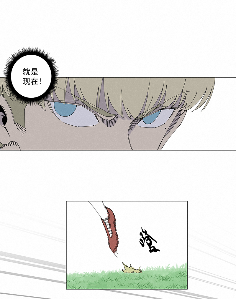 第二百七十三波  禁区手球-第291话