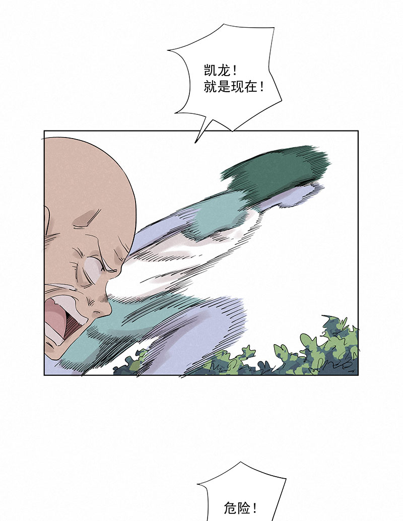 第三百二十六波 求偶-第347话