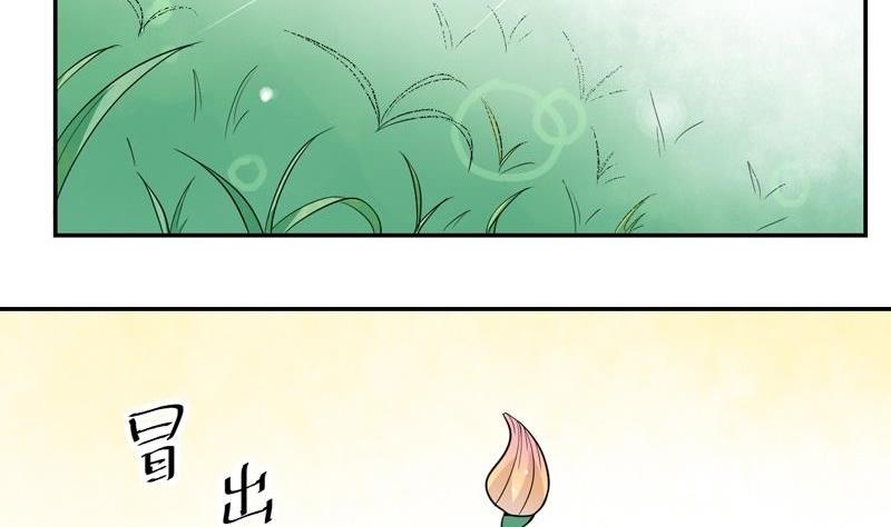 第45话 花海-第45话