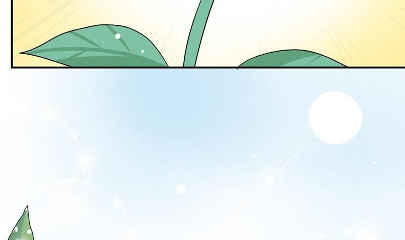 第45话 花海-第45话