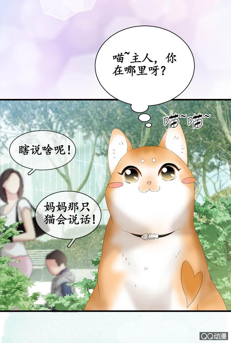 预告-第1话