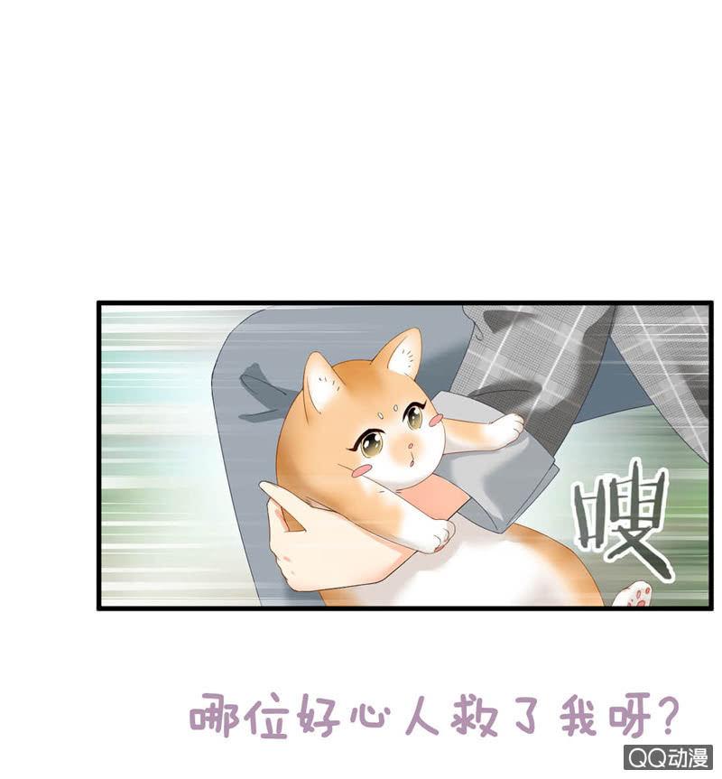 预告-第1话