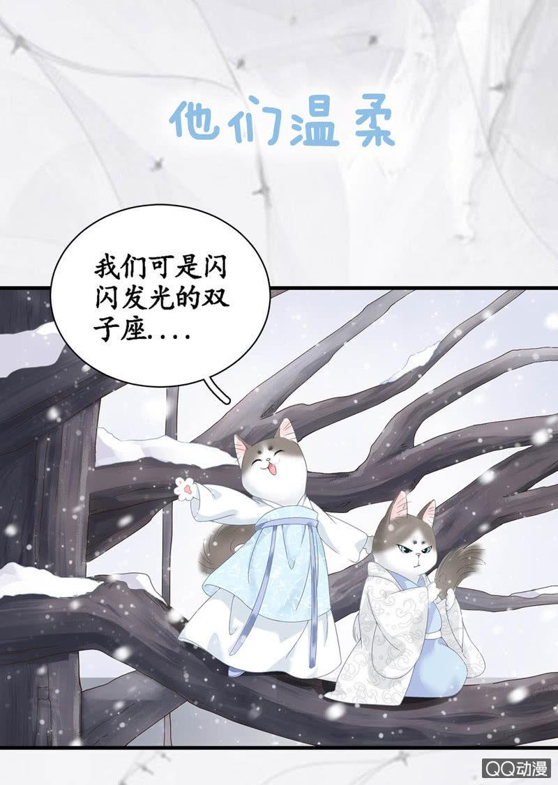预告-第1话