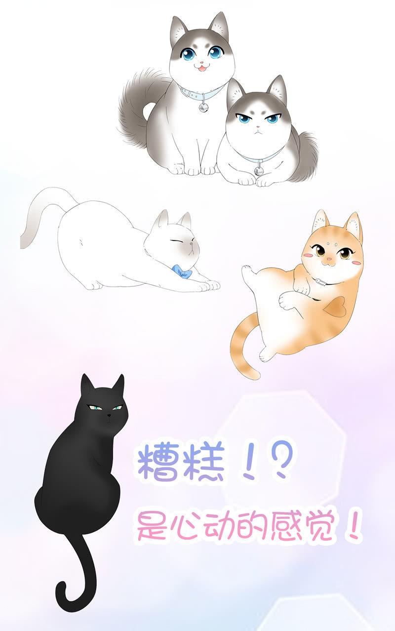 预告-第1话