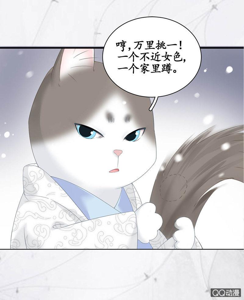 预告-第1话