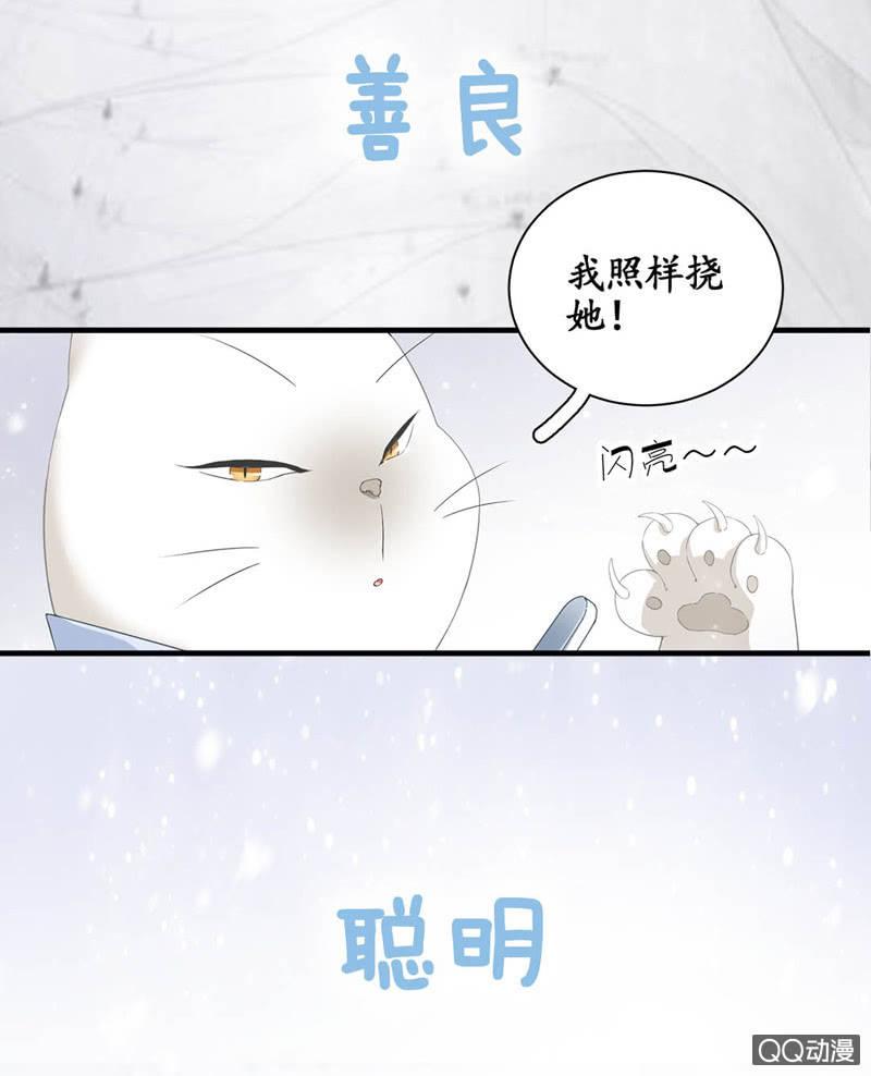 预告-第1话