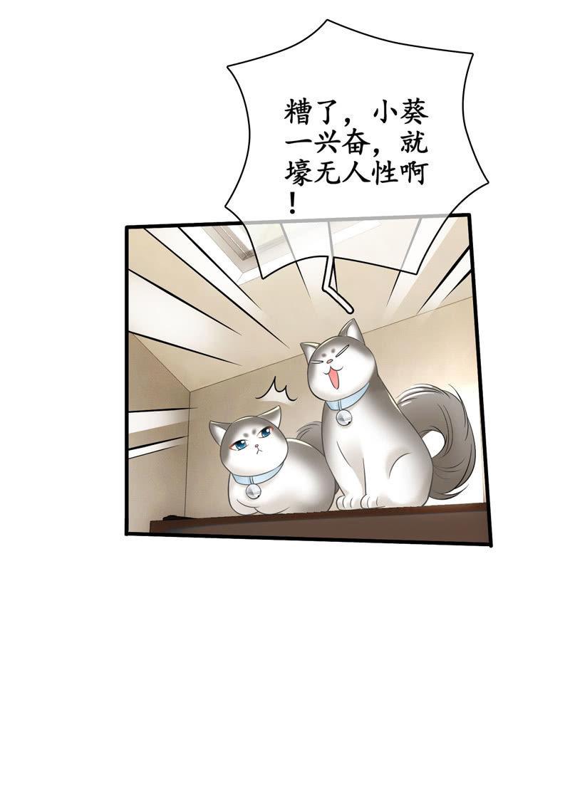 初恋兴奋的小葵-第139话