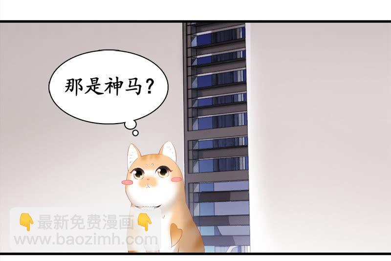 喵咪同伴出现啦~(1/2)-第15话