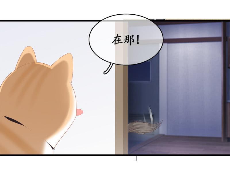 喵咪同伴出现啦~(1/2)-第15话