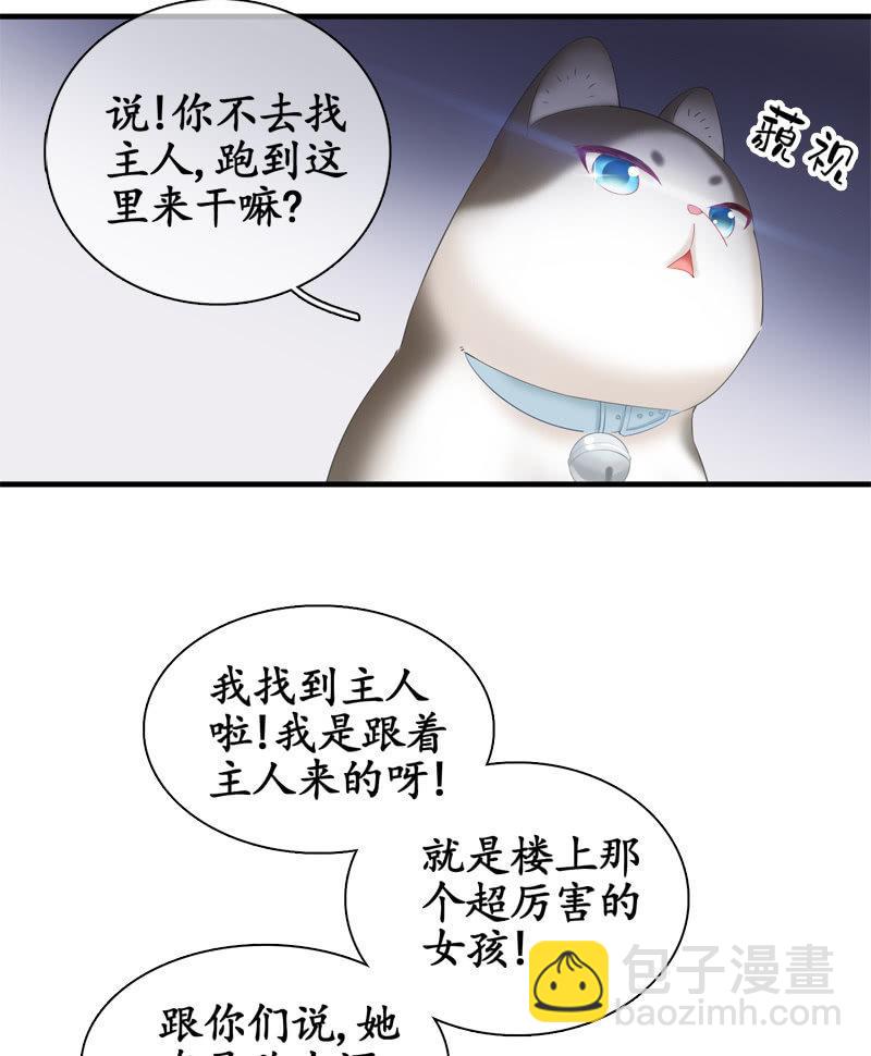 喵咪同伴出现啦~(1/2)-第15话