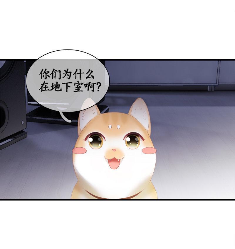 喵咪同伴出现啦~(1/2)-第15话