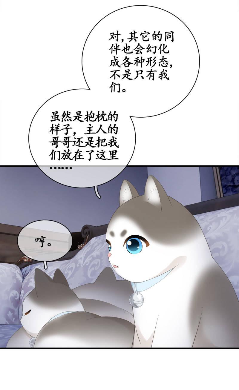 喵咪同伴出现啦~(1/2)-第15话