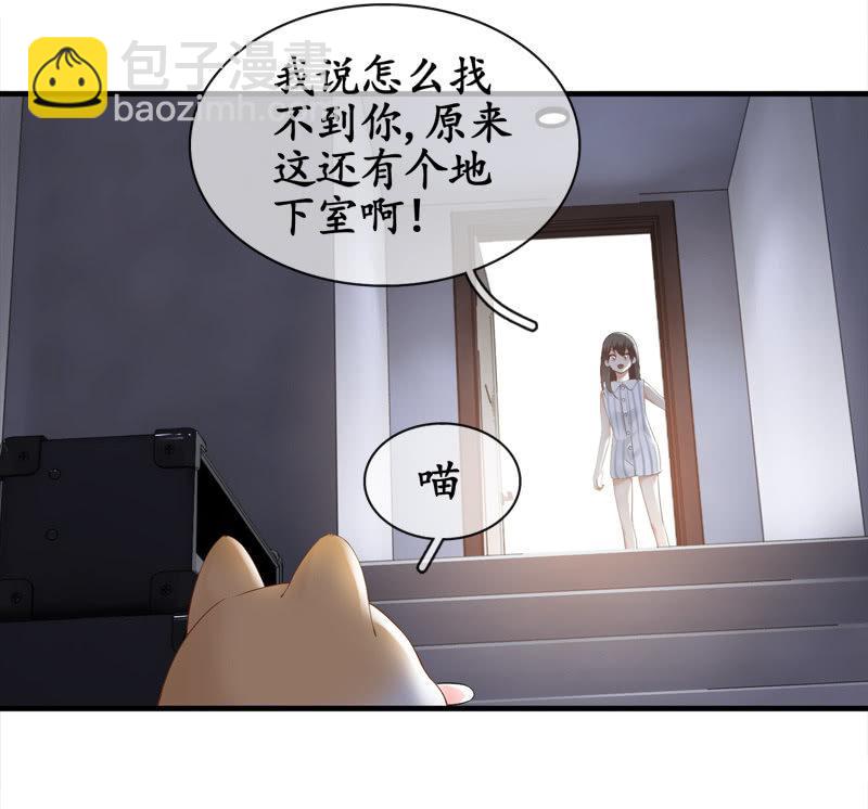 喵咪同伴出现啦~(1/2)-第15话