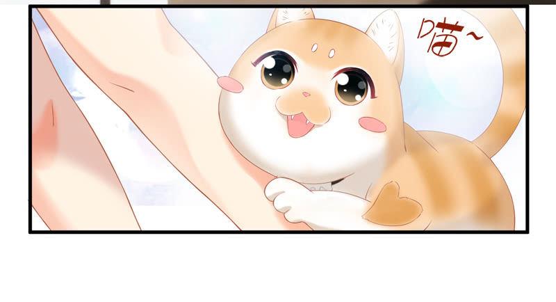 喵咪同伴出现啦~(1/2)-第15话