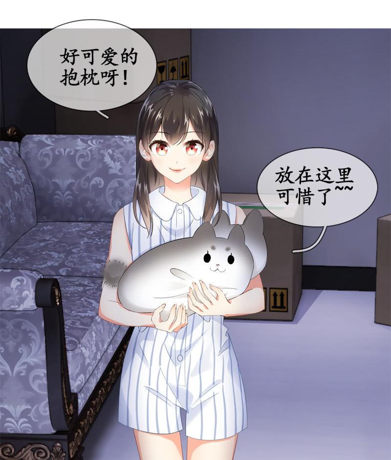 喵咪同伴出现啦~(1/2)-第15话