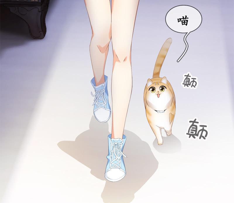 喵咪同伴出现啦~(1/2)-第15话