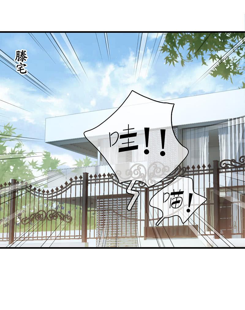 首席设计师你在哪？！(1/2)-第19话