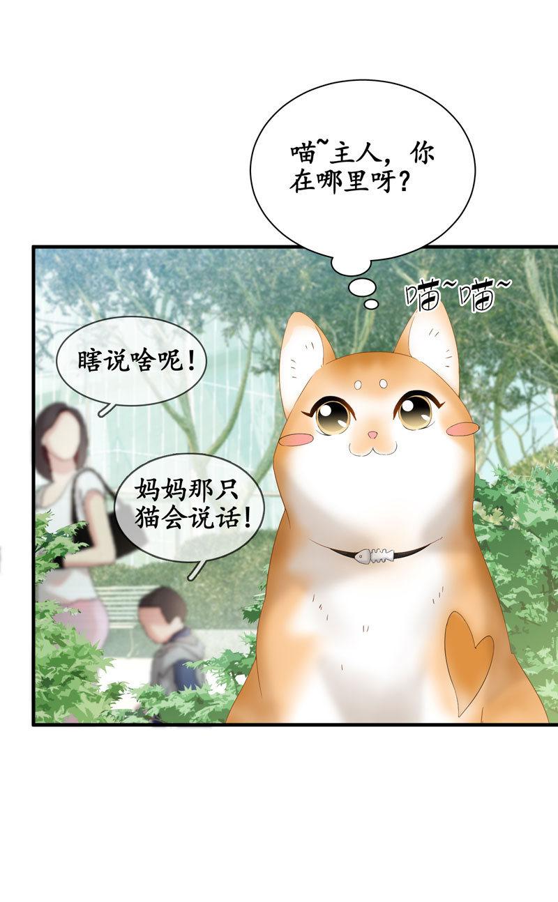 主人在哪里啊？(1/2)-第3话