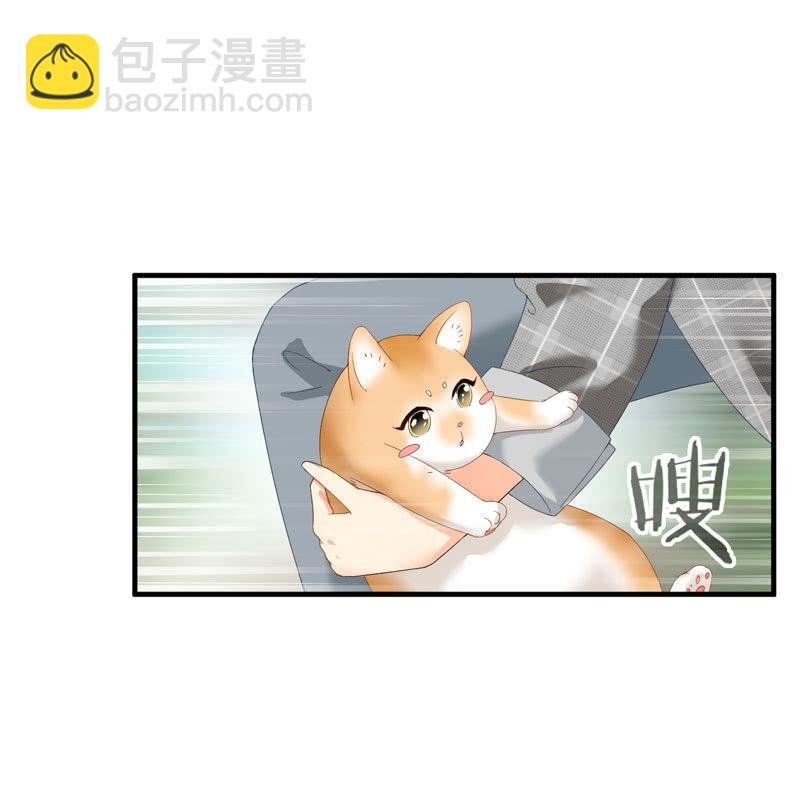 主人在哪里啊？(1/2)-第3话