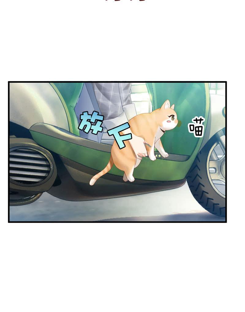 主人在哪里啊？(1/2)-第3话