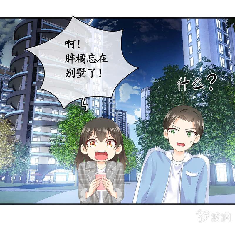 猫咪神助攻来也！！！(1/2)-第25话