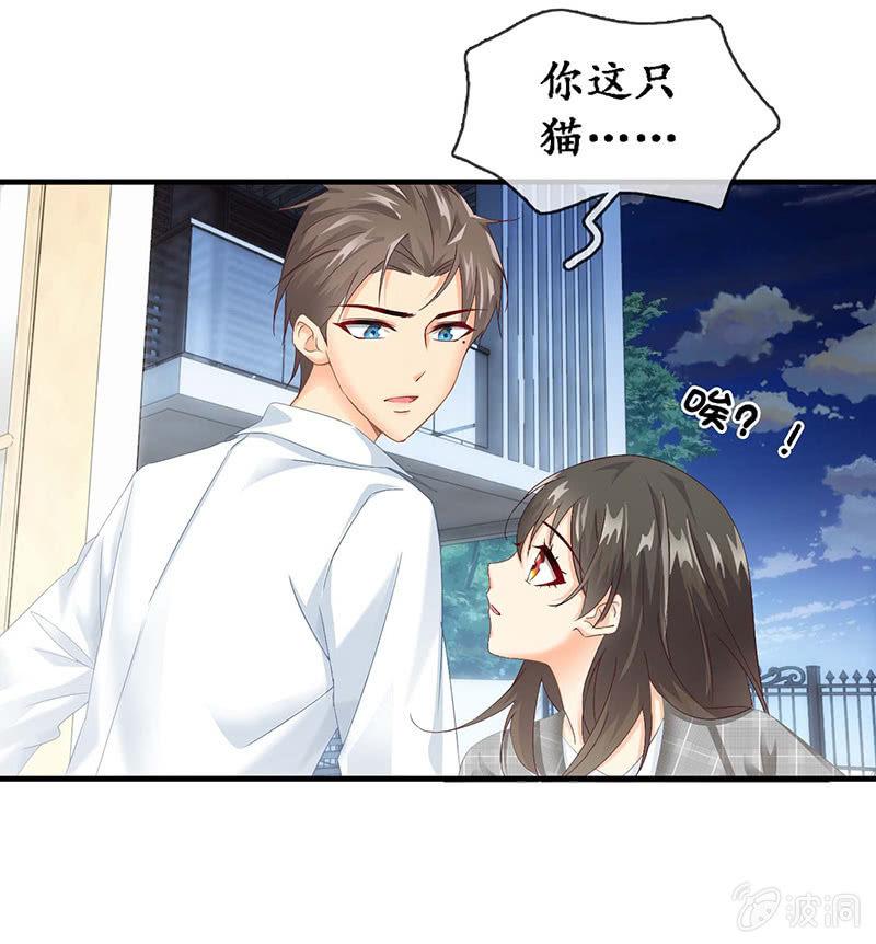 猫咪神助攻来也！！！(1/2)-第25话