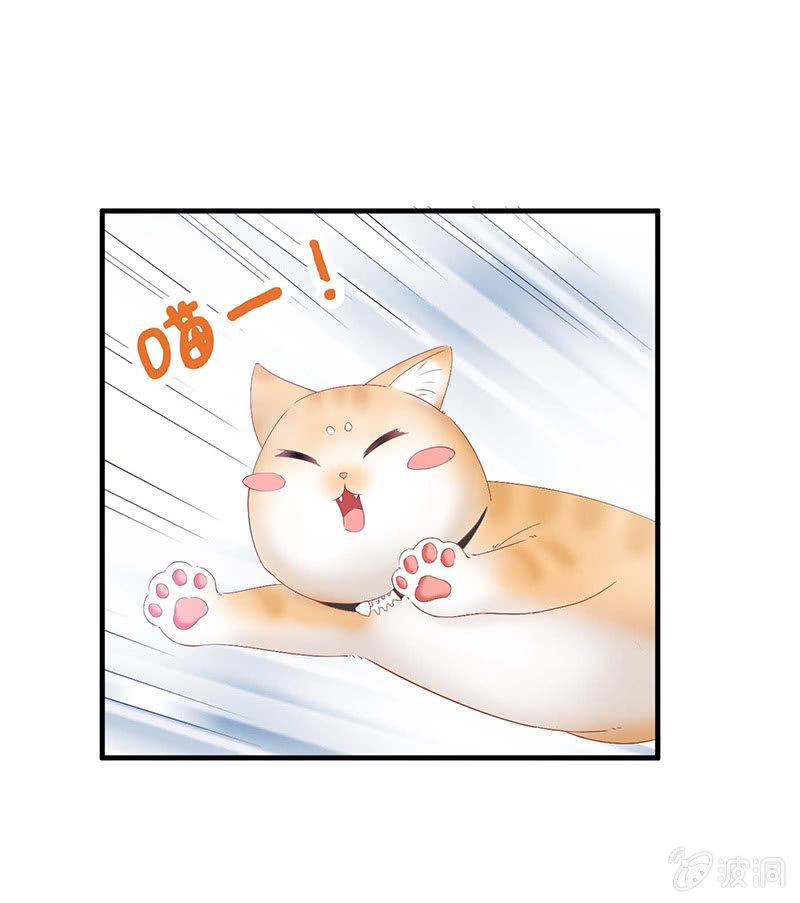 猫咪神助攻来也！！！(1/2)-第25话