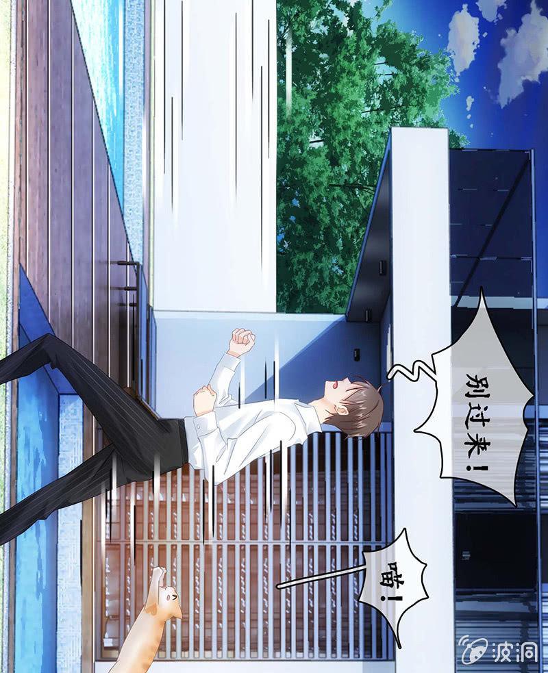 猫咪神助攻来也！！！(1/2)-第25话