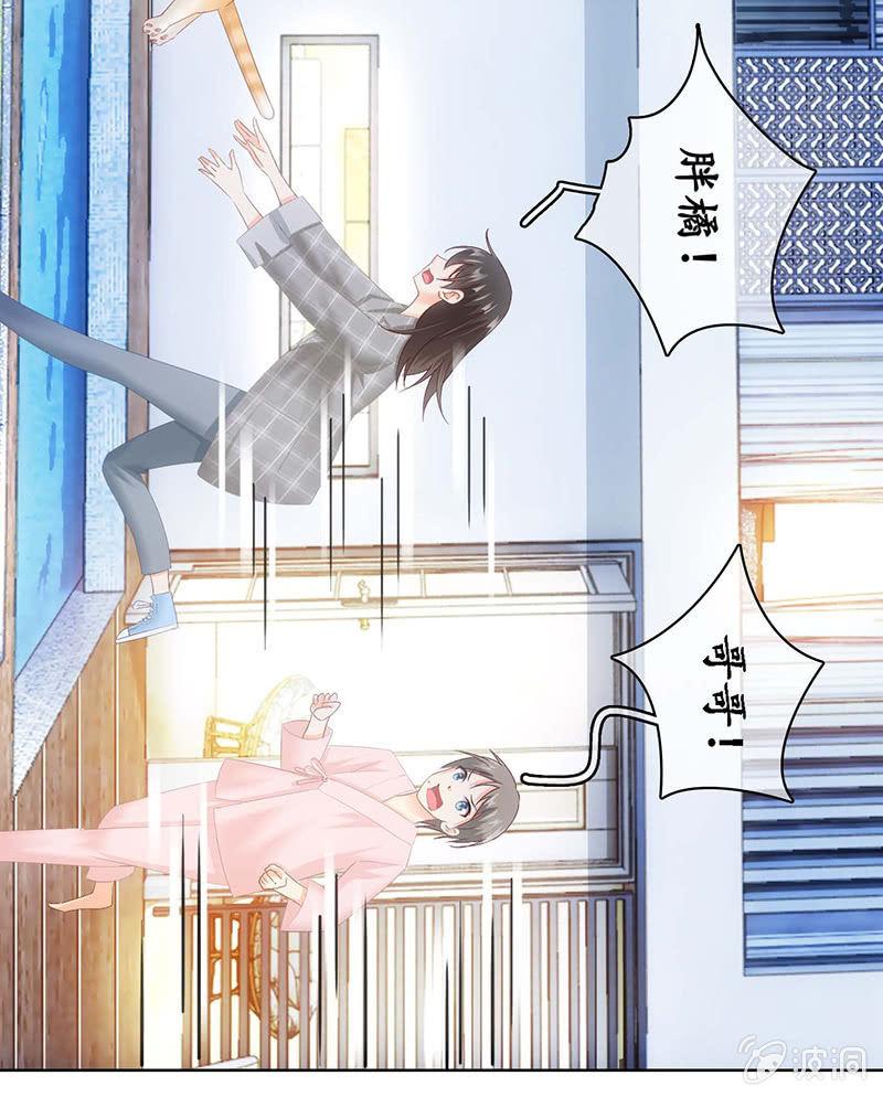 猫咪神助攻来也！！！(1/2)-第25话