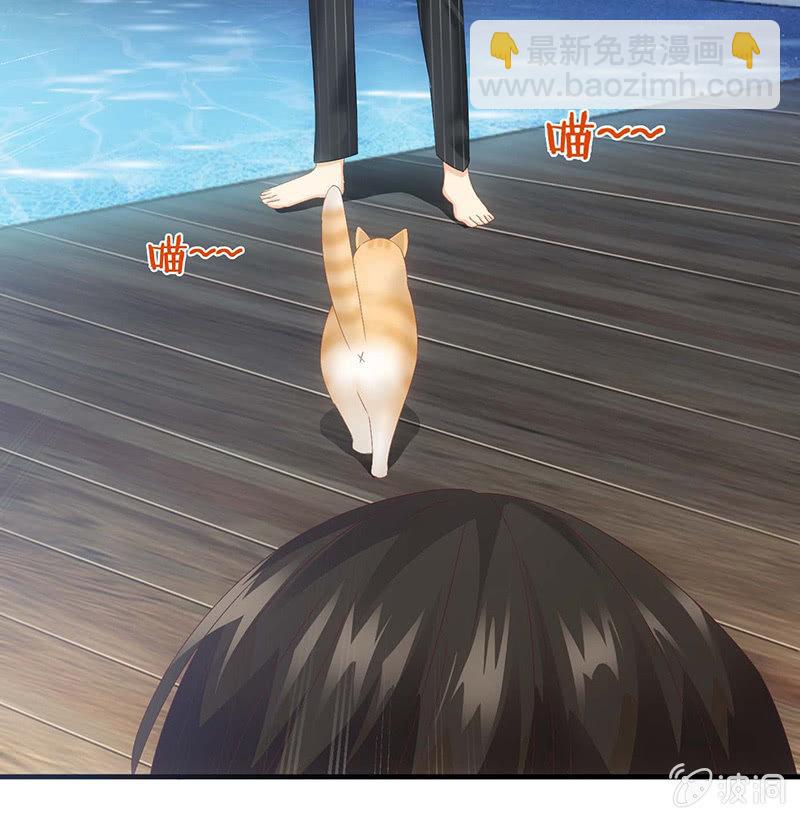 猫咪神助攻来也！！！(1/2)-第25话