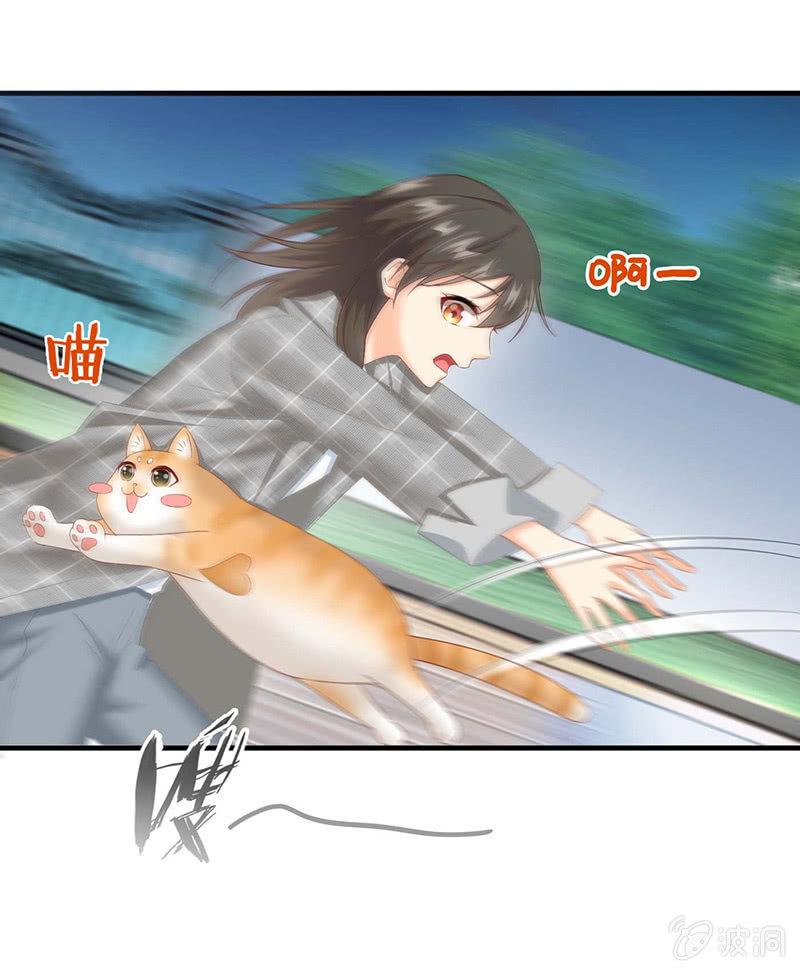 猫咪神助攻来也！！！(1/2)-第25话