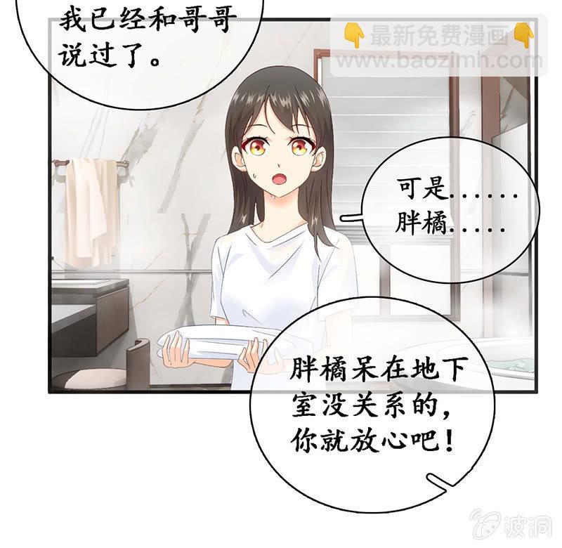 猫咪神助攻来也！！！(1/2)-第25话