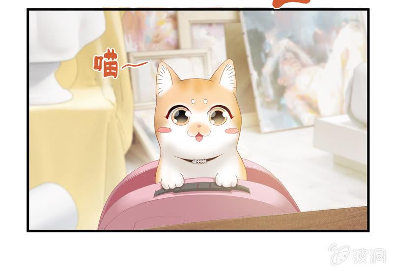 江南我回来了！(1/2)-第35话