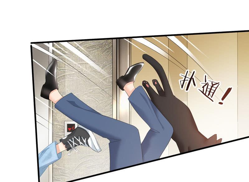 纠结的心情(1/3)-第65话