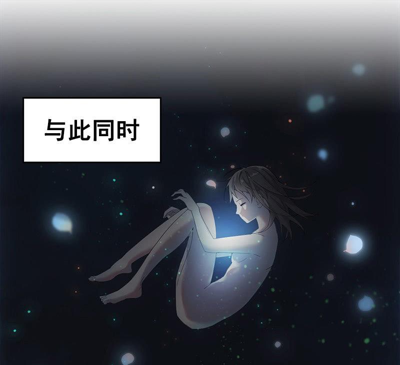 小葵的偶遇(1/2)-第73话