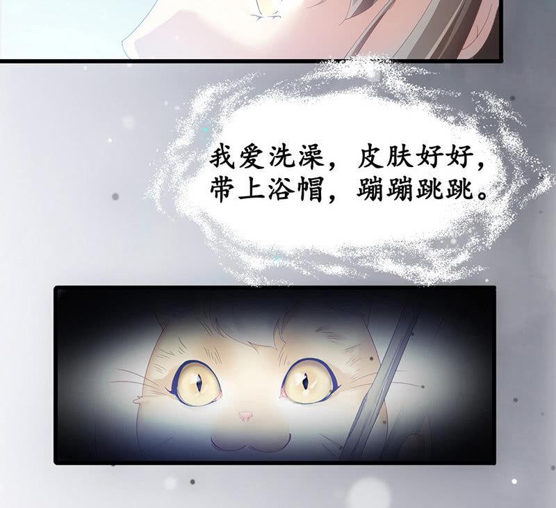 小葵的偶遇(1/2)-第73话
