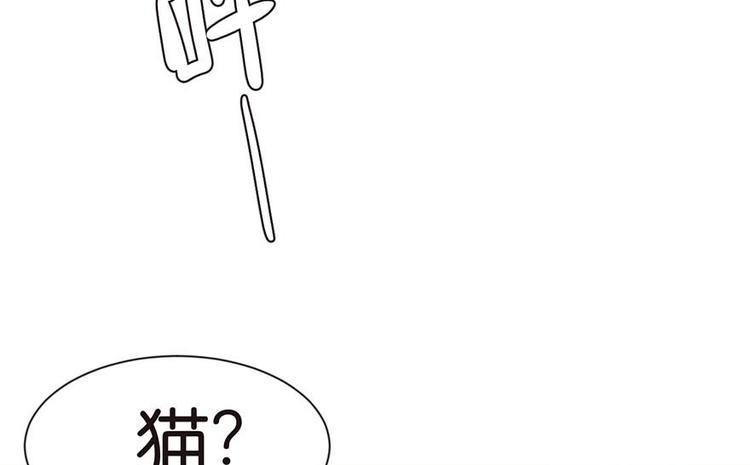 第39章 我挺喜欢小动物的(1/2)-第39话