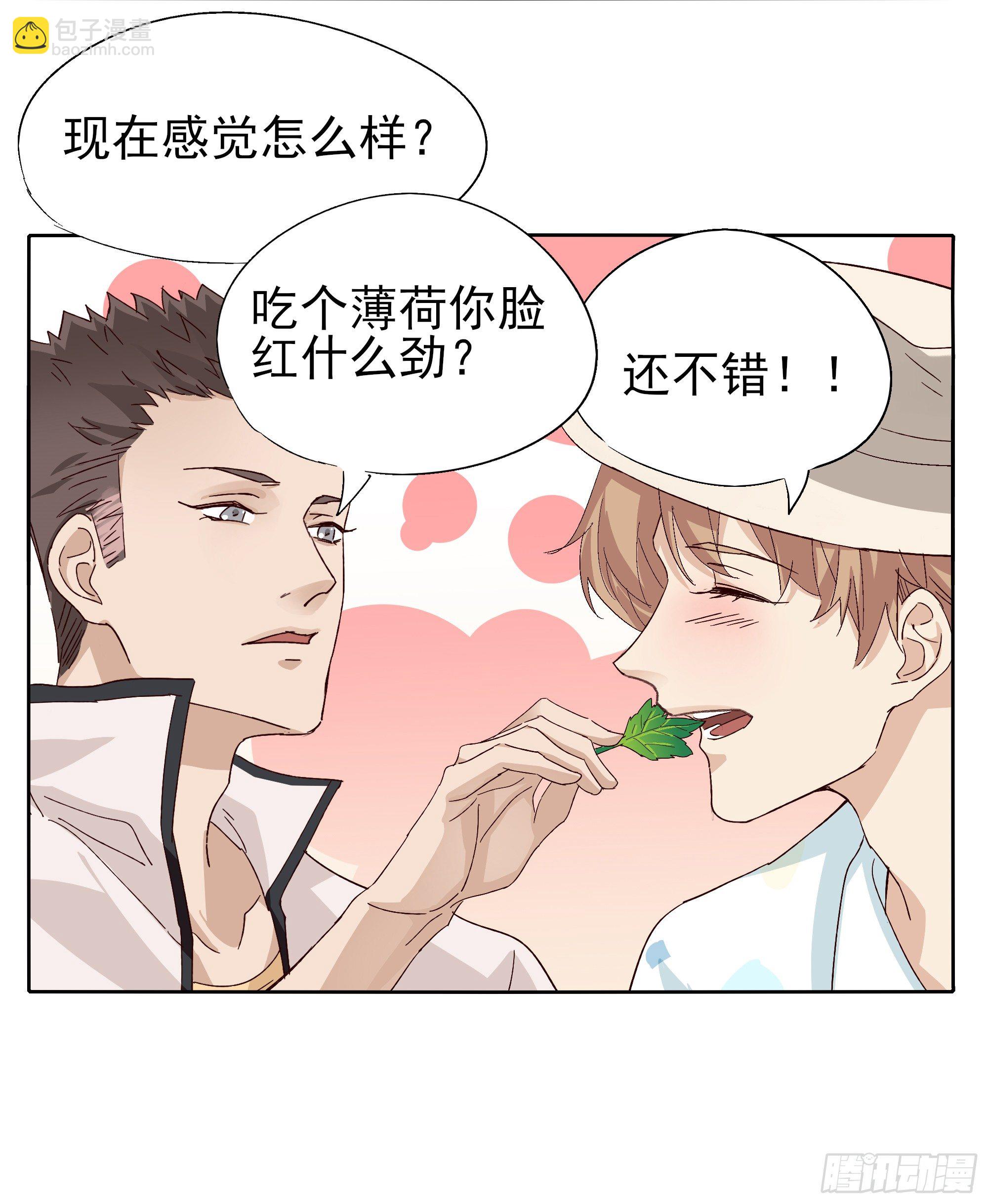 🍱拾光 薄荷叶 第13页