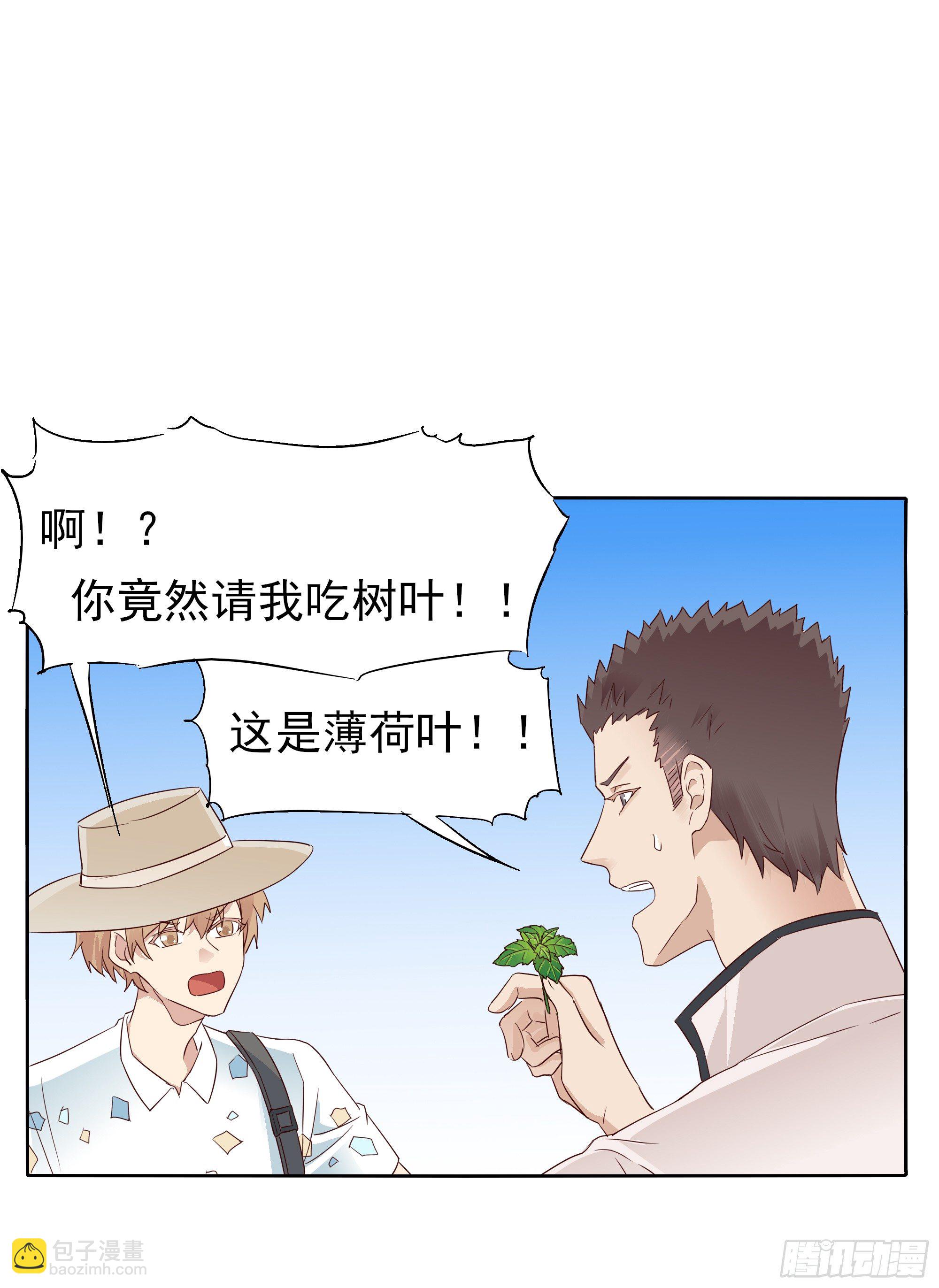 🍱拾光 薄荷叶 第2页