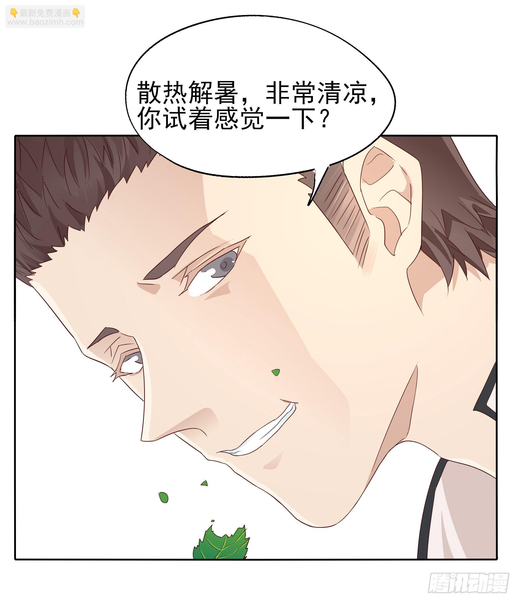 🍱拾光 薄荷叶 第4页